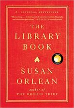 51pmjwgu0bl._sx340_bo1204203200_